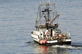 Fishing Vessel