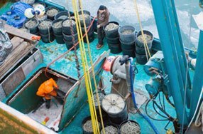 Commercial Crabbing Boat